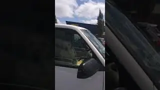 Rescue of a Dog left in a vehicle in direct sun during summer July 10, 2020