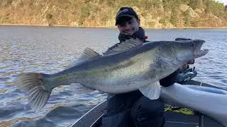 Pêche du SANDRE en VERTICALE avec la W8 VERTICAL JIGGING