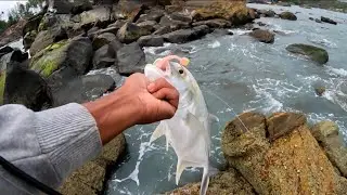 Goa secret spot for fishing 🐠