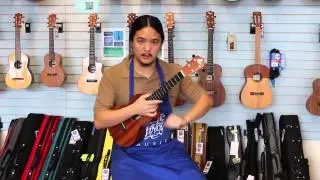 LoPrinzi AM-ART - Pacific Winds Music