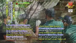 2334 NWN 8 release of two captive singing gibbon primate people into the wild in Indonesia offers ho