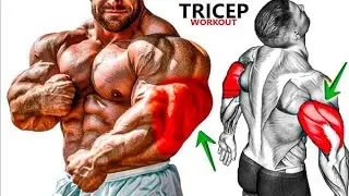 Best Triceps Exercises for Bigger Arms