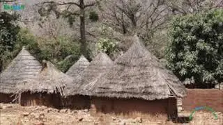 Feu Yandé Codou Sene Titre:  Maak Wa Layé