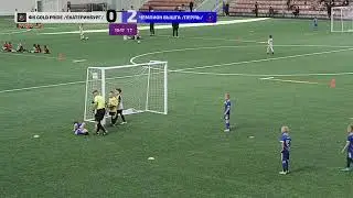 ФК Gold Pride /Екатеринбург/ - Чемпион ВышГа /Пермь/ URAL CUP игроки 2017 г.р.