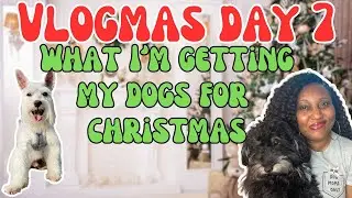 VLOGMAS DAY 7: WHAT I&rsquo;M GETTING MY DOGS FOR CHRISTMAS 🎄