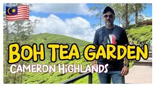 A MUST-SEE TEA GARDEN in CAMERON HIGHLANDS!  🇲🇾