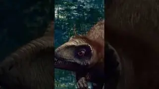 Feathered dinosaurs music short / More Than My Hometown/ @morganwallen