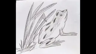 Easy  drawing .Easy frog drawing .Easy drawing tutorial.Step by step  tutorial for frog drawing.