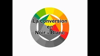 La Conversion en Noir & Blanc