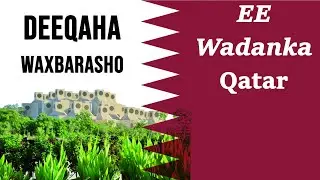 Deeqaha Waxbarasho ee Wadanka Qatar | 4 NOOC