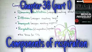 Components of respiration - chapter 38 (part 1) Guyton and Hall text book of physiology.