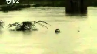 Heavy Rain in Nellore and Chittoor