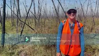 Changes in Plant Communities in the NWT by Claire Singer (WCS Canada Weston Fellow 2022)