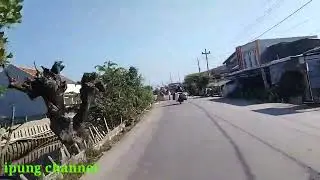 Rute spot belanak, di desa surodadi kec.sayung kab.demak