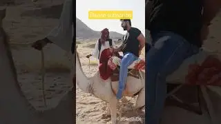 Camel Milk ilk Experience in Saudi Arabia #makkah #food #madina #shorts #shorts