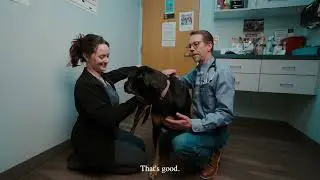 How Nutrition Response Testing Can Help Your Pet | Lifetime Pet Wellness Center | Columbus, OH