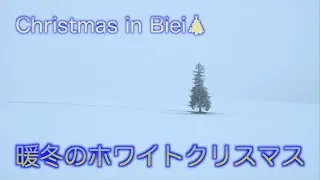 美瑛の丘をめぐる旅～2025クリスマス編～後編