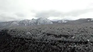 Las Trancas octava Region