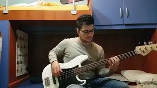Red Hot Chili Peppers - Funky Crime (Bass cover)