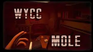 MOLE (Стрим от 24.06.2026)
