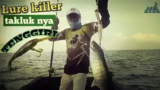 Casting di sarang tenggiri, pakai lure killer