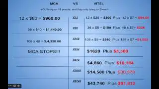 MAKING MONEY WITH MCA VS VITEL WIRELESS
