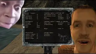 Gothic: highest level and stats in the game