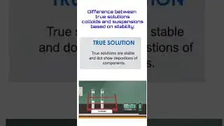 Difference between true solutions colloids and suspensions based on stability