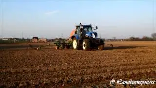 Sowing with New Holland T7. 210 and Amazone EDX 6000-2C