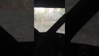View from hunting blind.