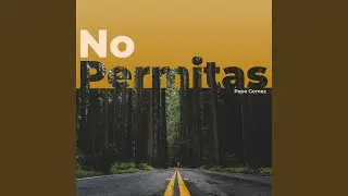 No permitas