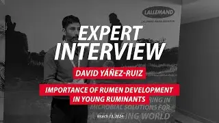 Importance of rumen development in young ruminants, by David Y&Aacute;&Ntilde;EZ-RUIZ