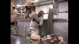 Beef Aitchbone and Knuckle Puller - Beef Boning Aid - NS Innovations Pty Ltd