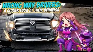 Traffic Mishaps: Examining the Behavior of Drivers Going the Wrong Way