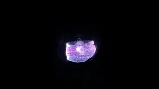 LED face masks flashing Halloween Play