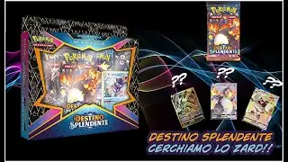 APRIAMO DESTINO SPLENDENTE Cerchiamo lo ZARDONE