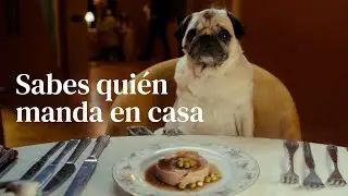 Sabes qui&eacute;n manda en casa &middot; MISCOTA &middot; Spot 15
