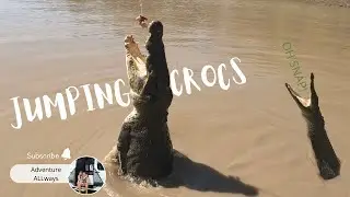 SPECTACULAR Jumping Crocodile Cruise - Adelaide River | VAN LIFE