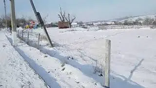 TELITA_ANENII_NOI
