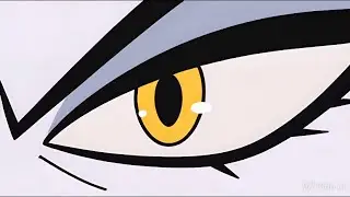 A Trip Inside Lute's Eye