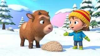 Oops! Baby Musk Ox Dropped the Wool 🐂 | Nursery Rhymes for Kids & Baby Songs