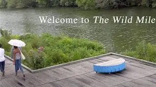 The Wild Mile: A River Reborn - TRAILER