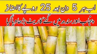 sugacane varaity rates 2025/Shugarmil meetings information today local farmers