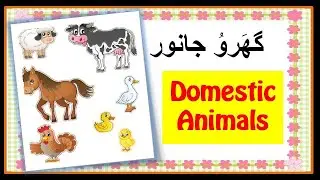 Domestic Animals Names In Sindhi | Pardhai Ghar