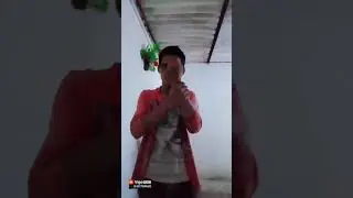 MANJAR ALAM