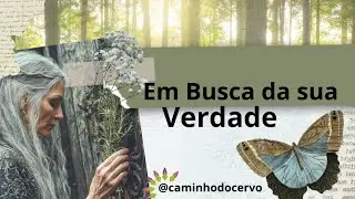 Mensagem para 2026 dos Reis Magos