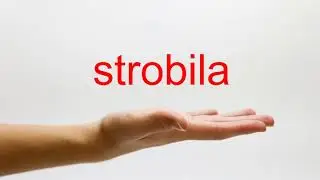 How to Pronounce strobila - American English