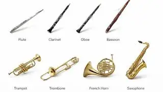 Every Wind Instrument Explained in 3 minutes