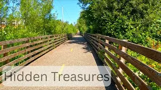 Cushman Trail in Gig Harbor | Relaxing Lofi Music for Study & Relaxation