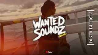 Following The Sun [ Sandr&oslash; Reggae Remix ] 2025 